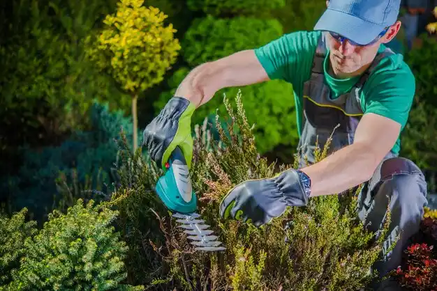 landscaping services Uniontown